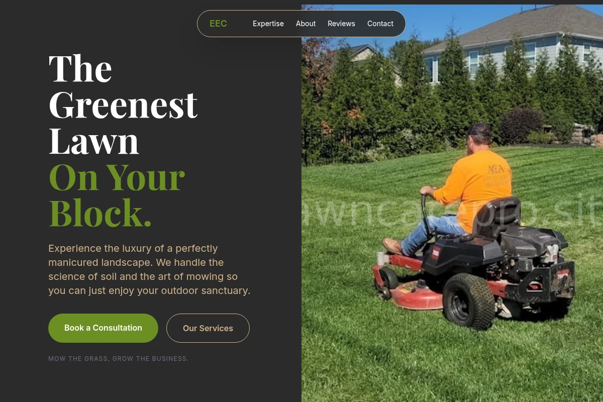 Turf Lawn Care
