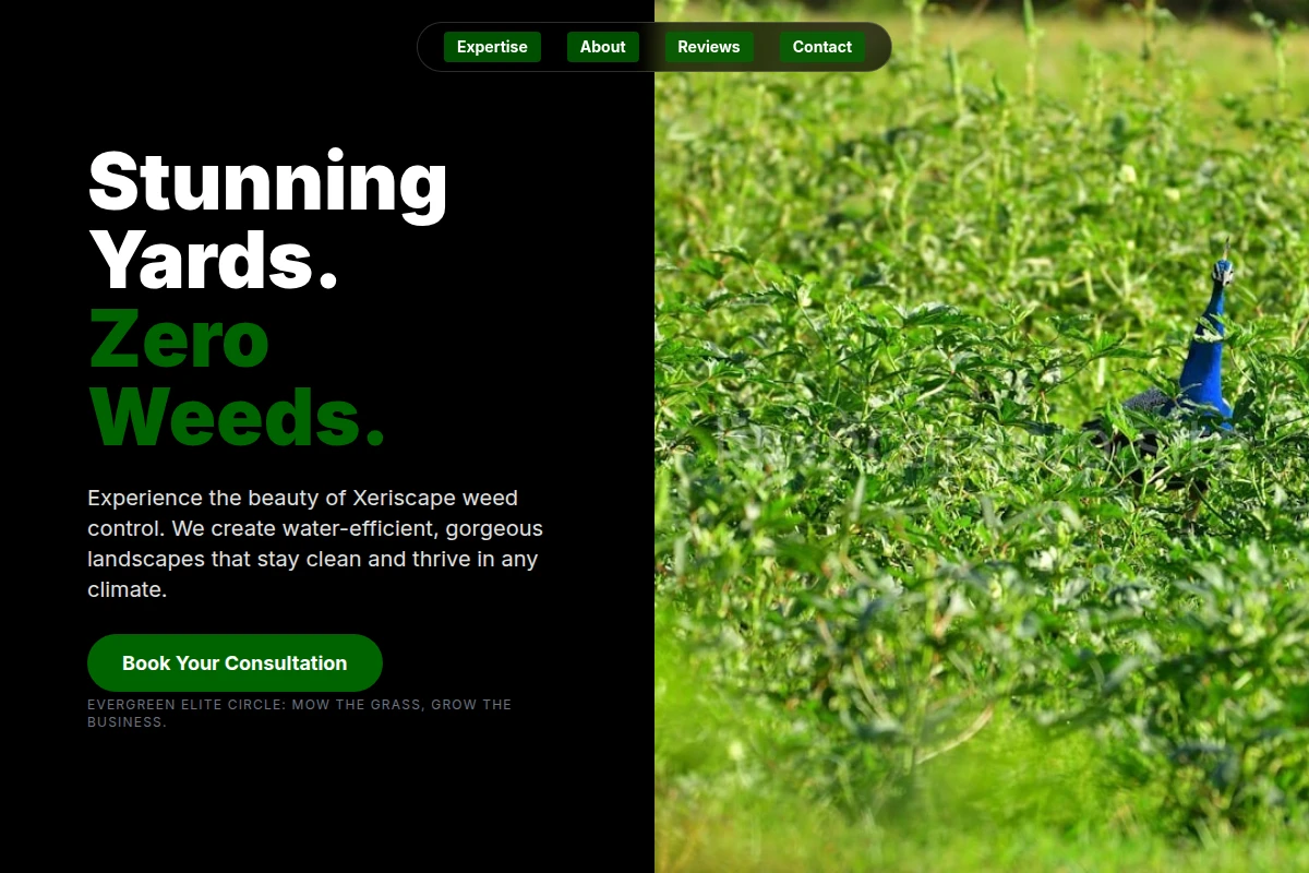 Xeriscape Weed Control